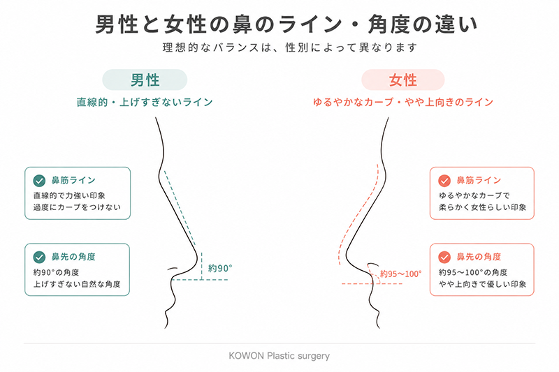 男性(直線的・上げすぎない)と女性(ゆるやかなカーブ・やや上向き)の鼻筋ラインと鼻先角度の違いを示す側面シルエット比較図