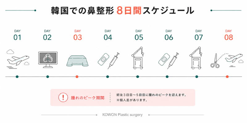 韓国での鼻整形の8日間モデルスケジュール(入国・手術前日・手術・術後ケア・抜糸・帰国)を示すタイムライン図